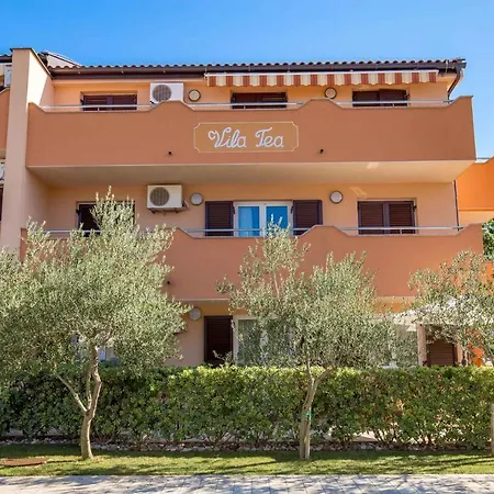 Apartment In Silo/insel Krk 13481 *